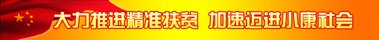大力推进精准扶贫 加速迈进小康社会